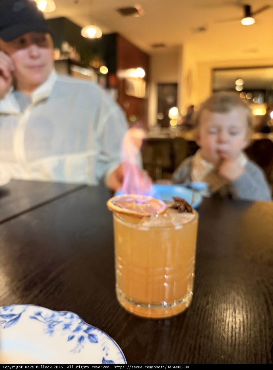 A Toast to Curiosity