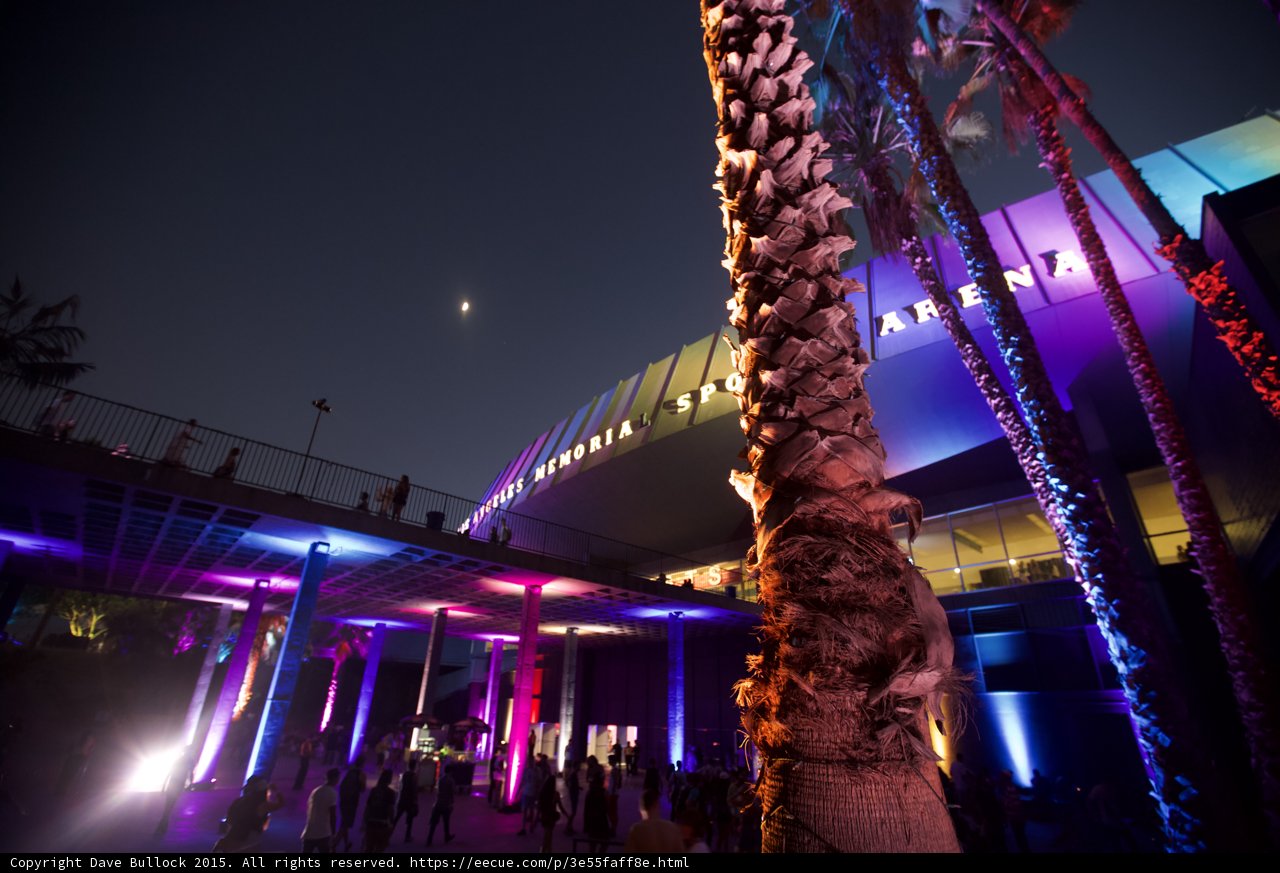 Arena Plaza with Palm Trees