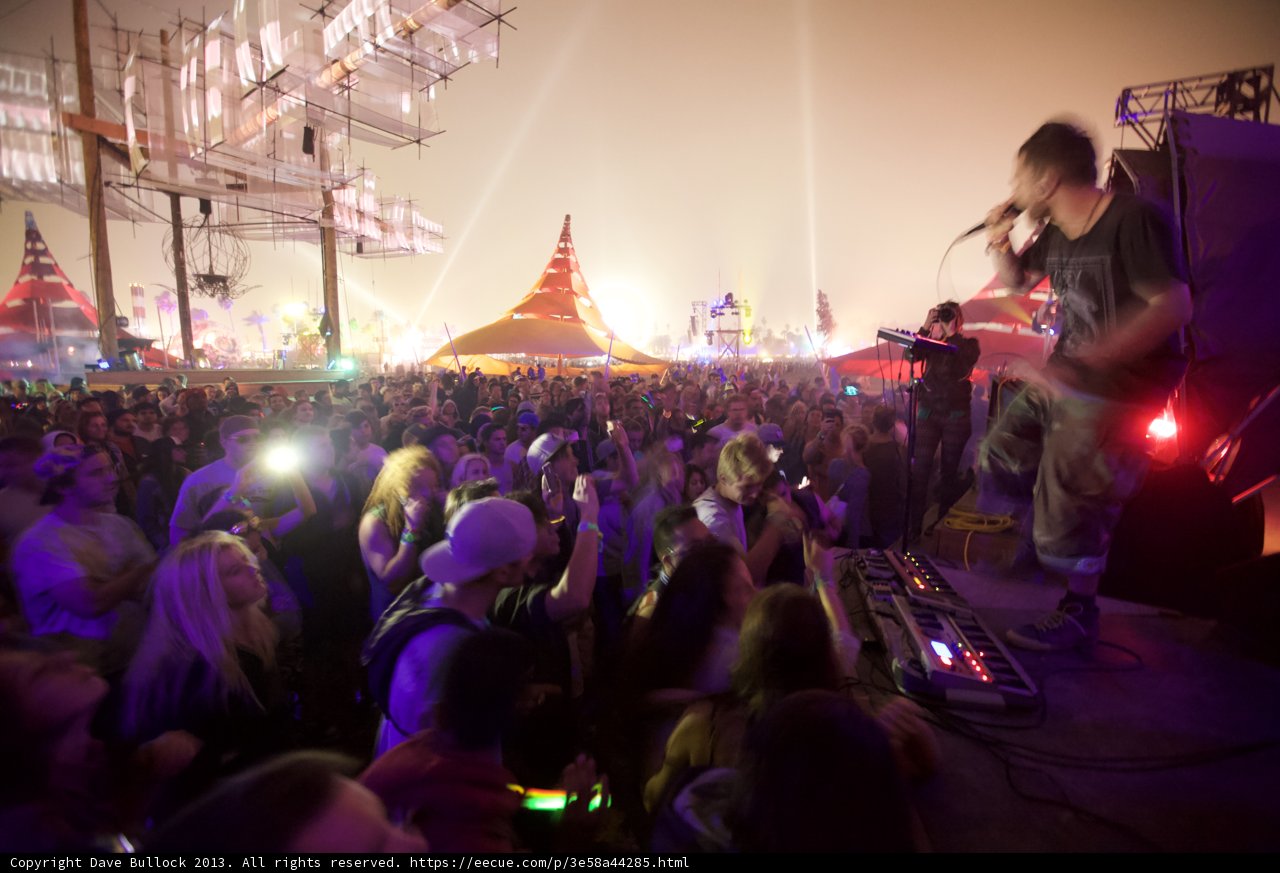 Coachella's Electric Crowd