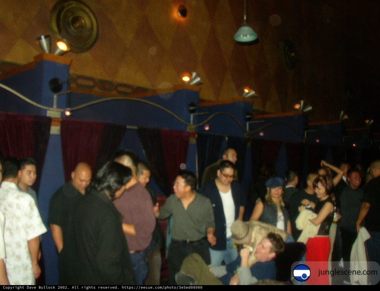 Nightclub Gathering