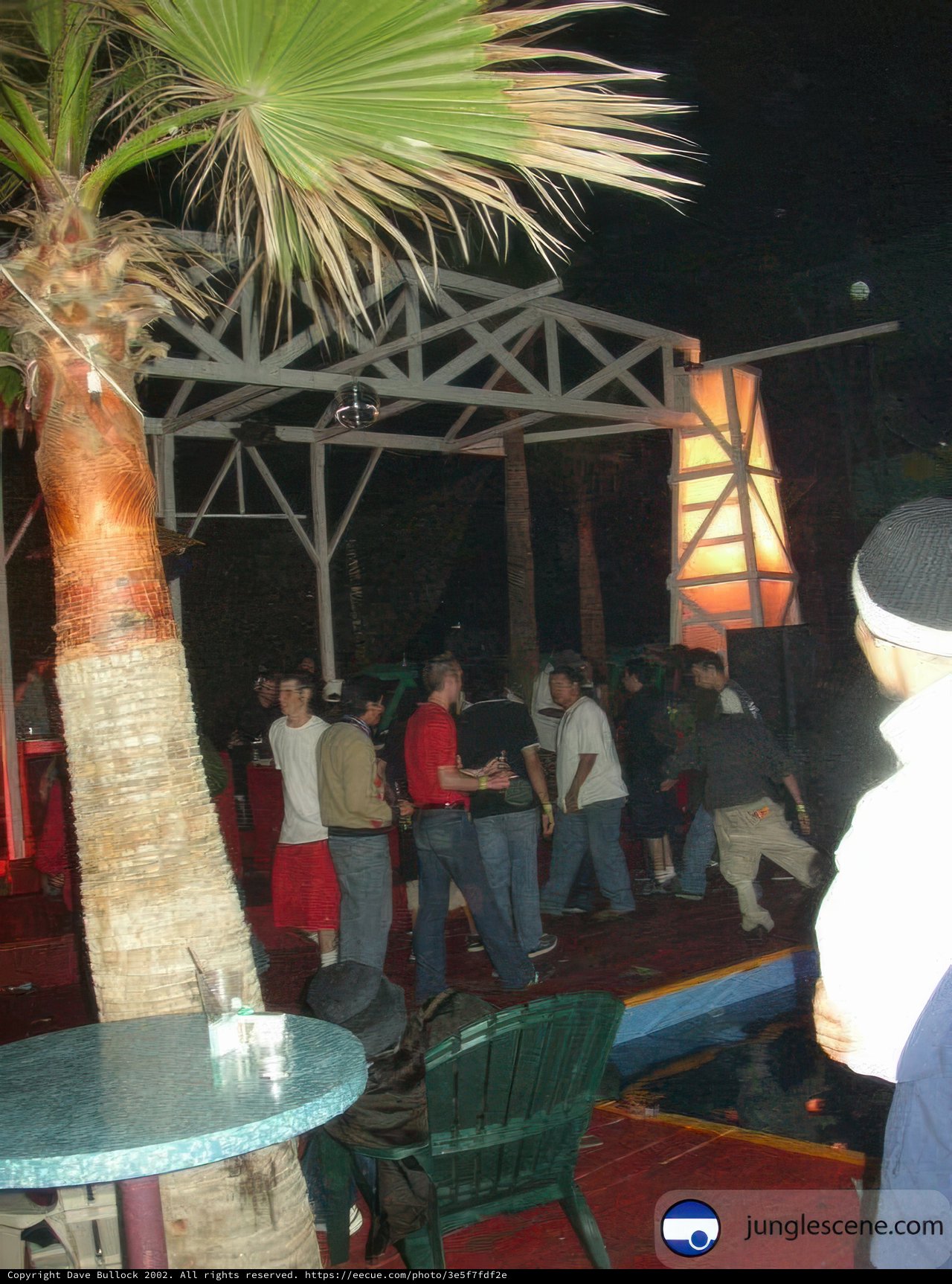 Night Club Gathering by Palm Trees
