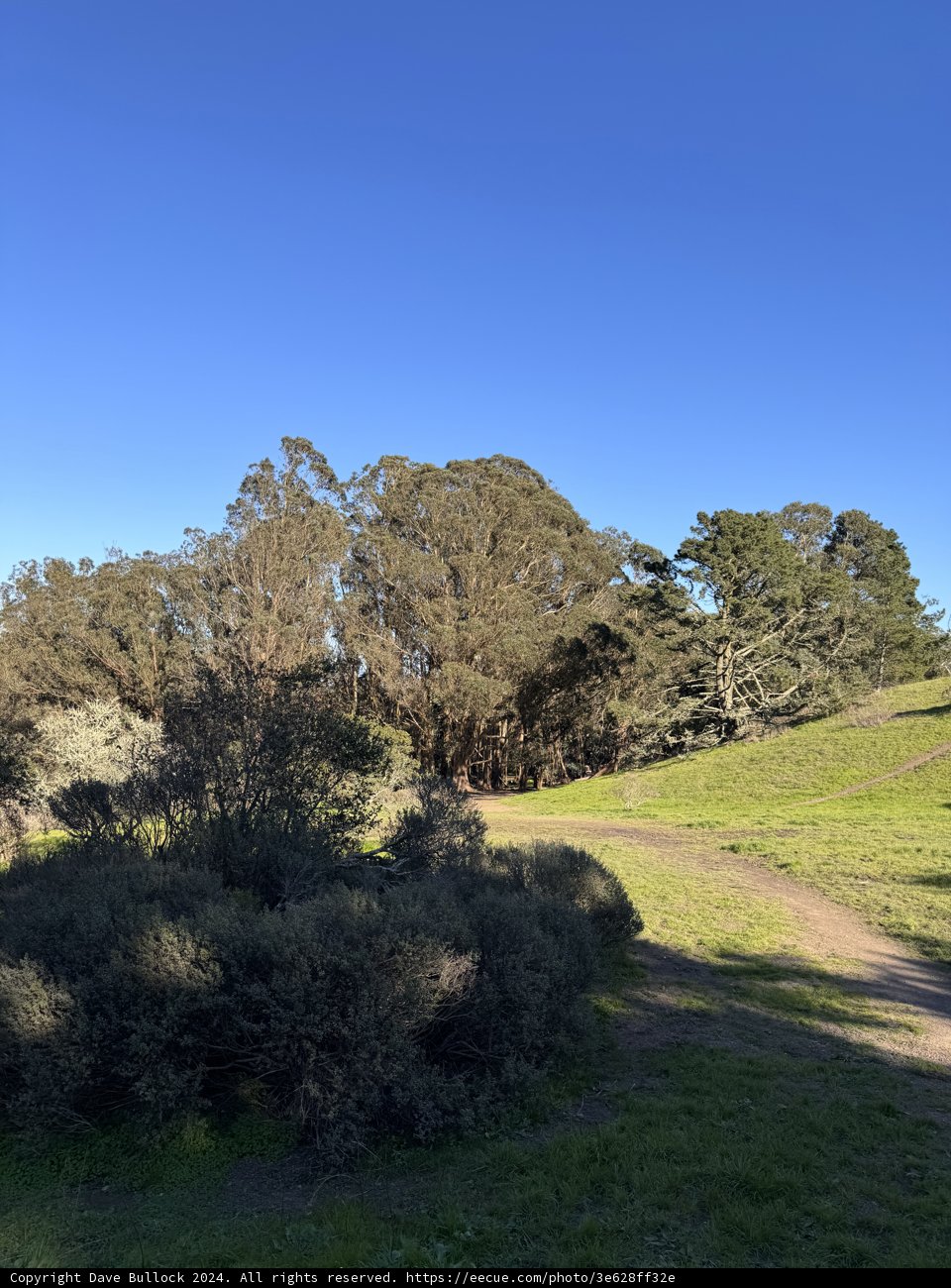Whispers of Wilderness: A Journey Through the Rural Charm