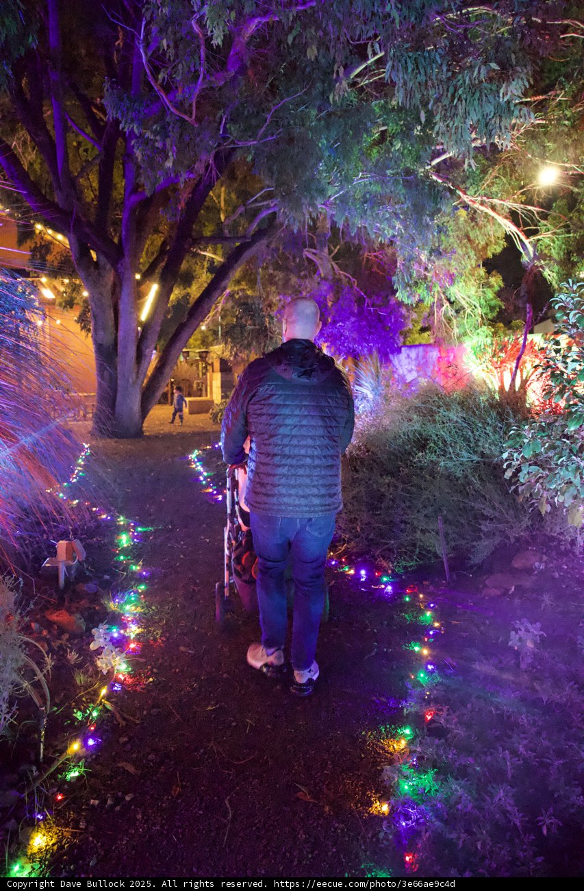 Enchanted Evening at the Garden of D'Lights