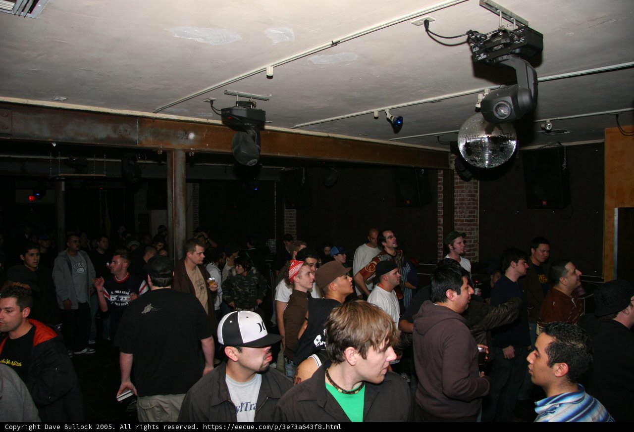 Nightclub Fun with Friends