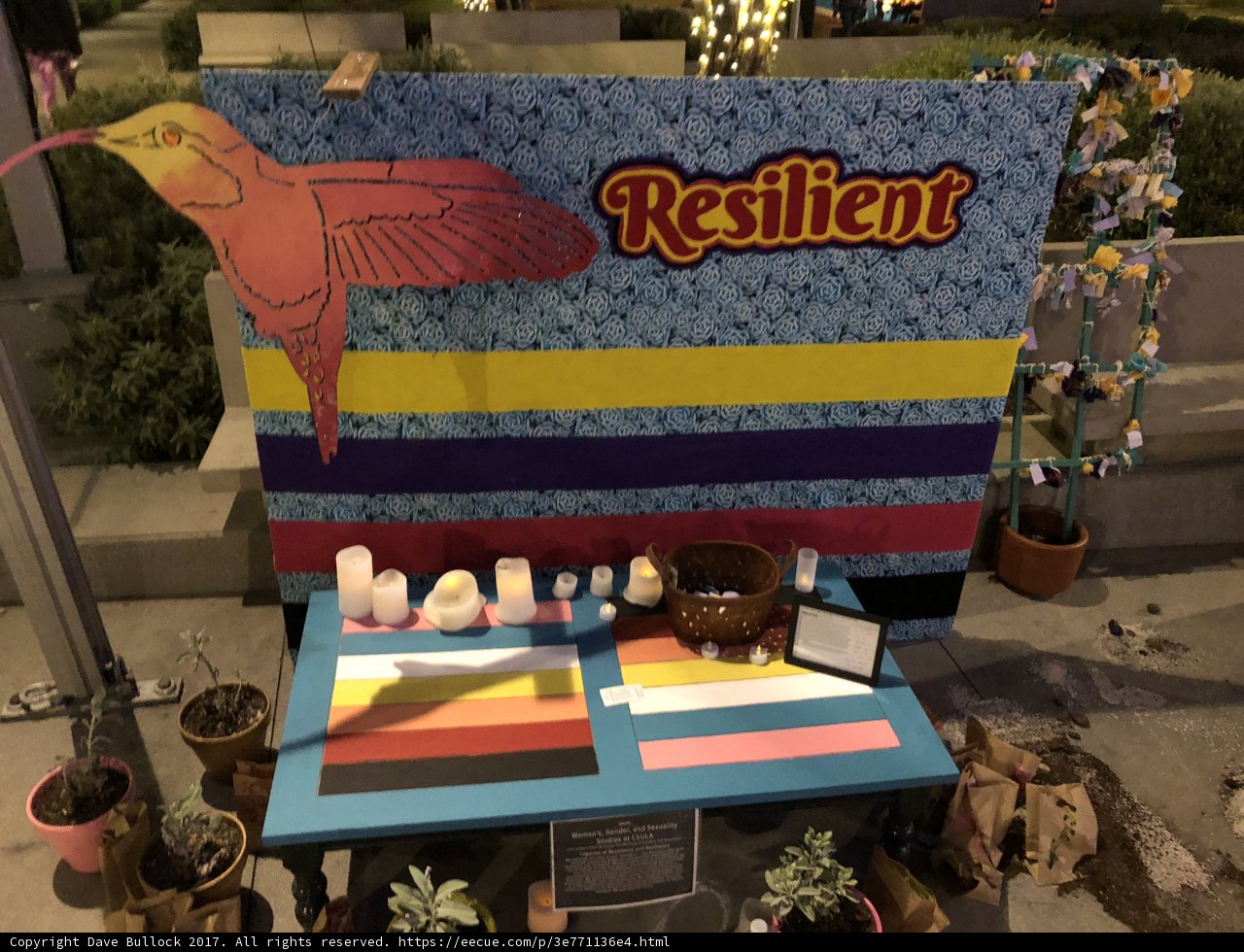 Resilient Bird on Decorative Table