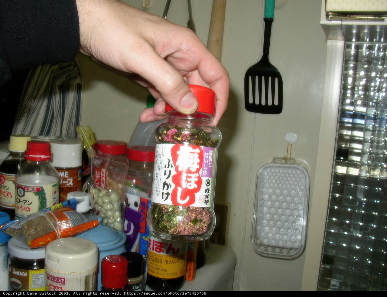 Japanese Seasoning from Kyoto City Hall