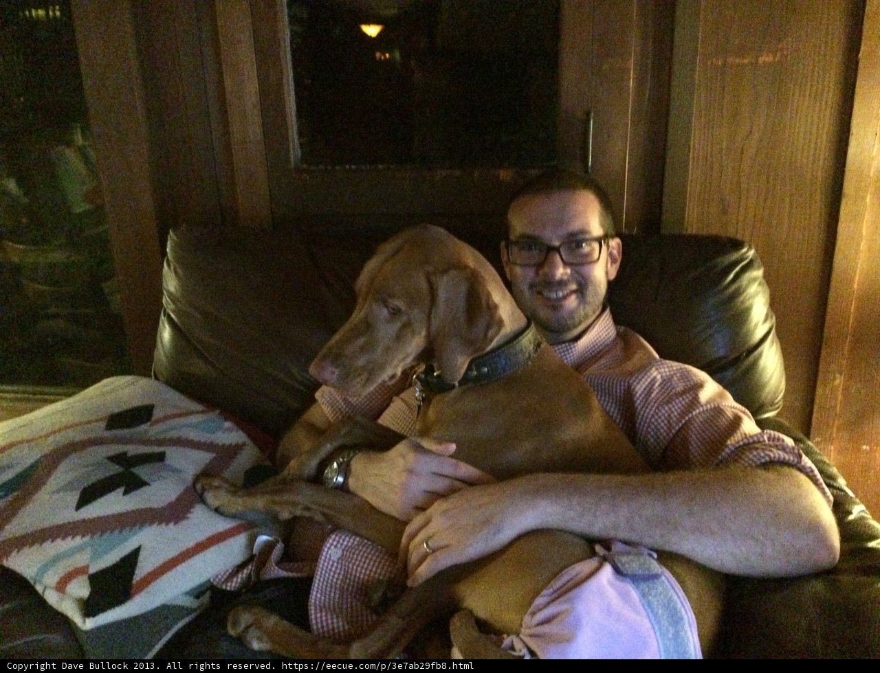 Man's Best Friend