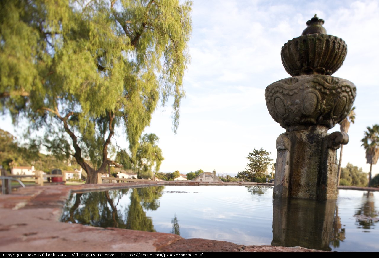 Reflections of a Willow Tree and Fountain