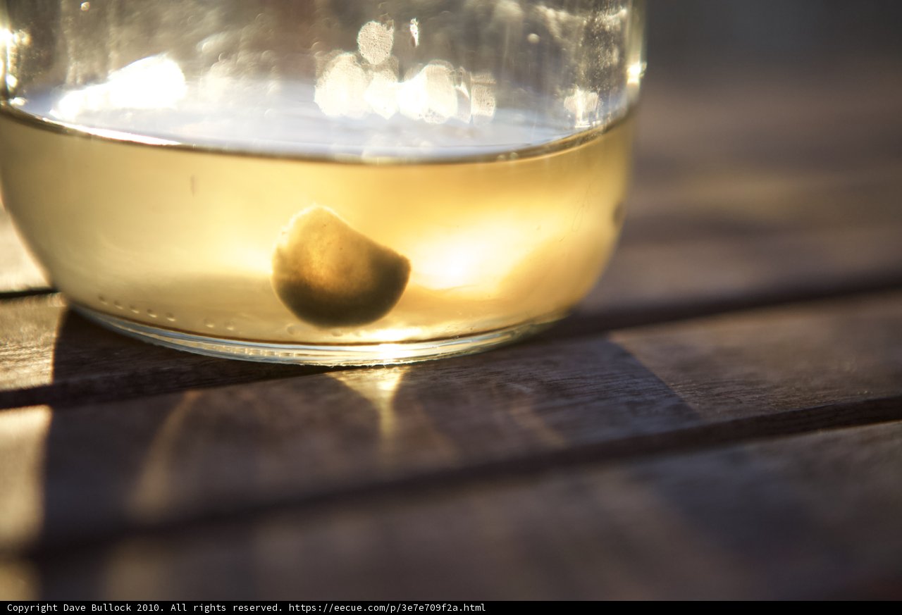 Festive Cocktail Delight
