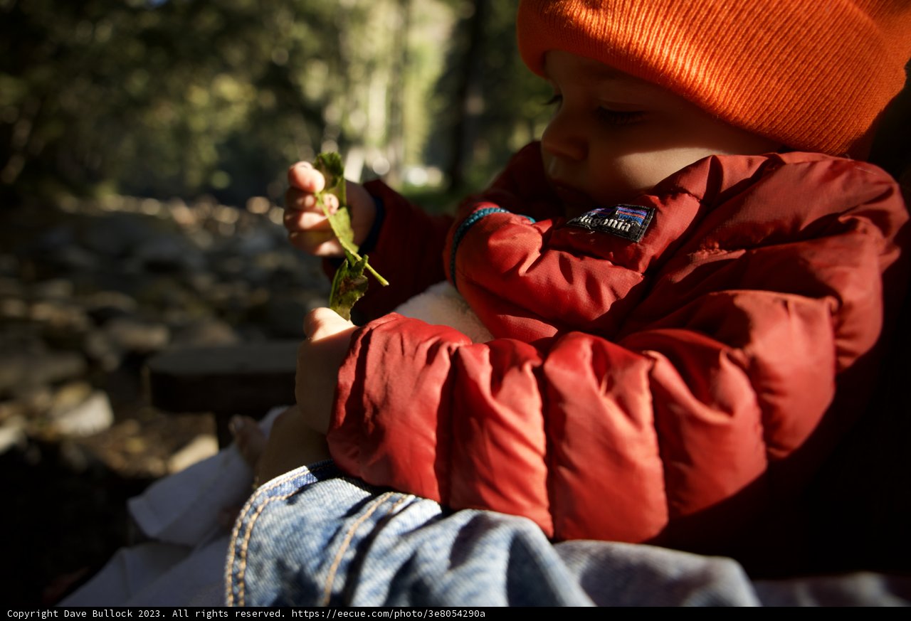Big Sur Adventure: Wesley's Colorful Exploration