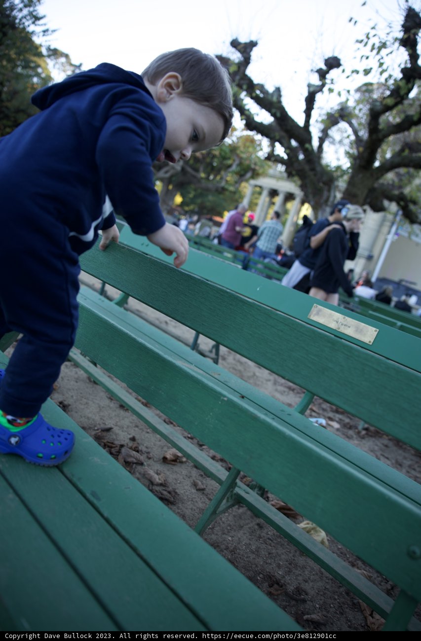 Curiosity Unbridled: A Moment at the Academy Park