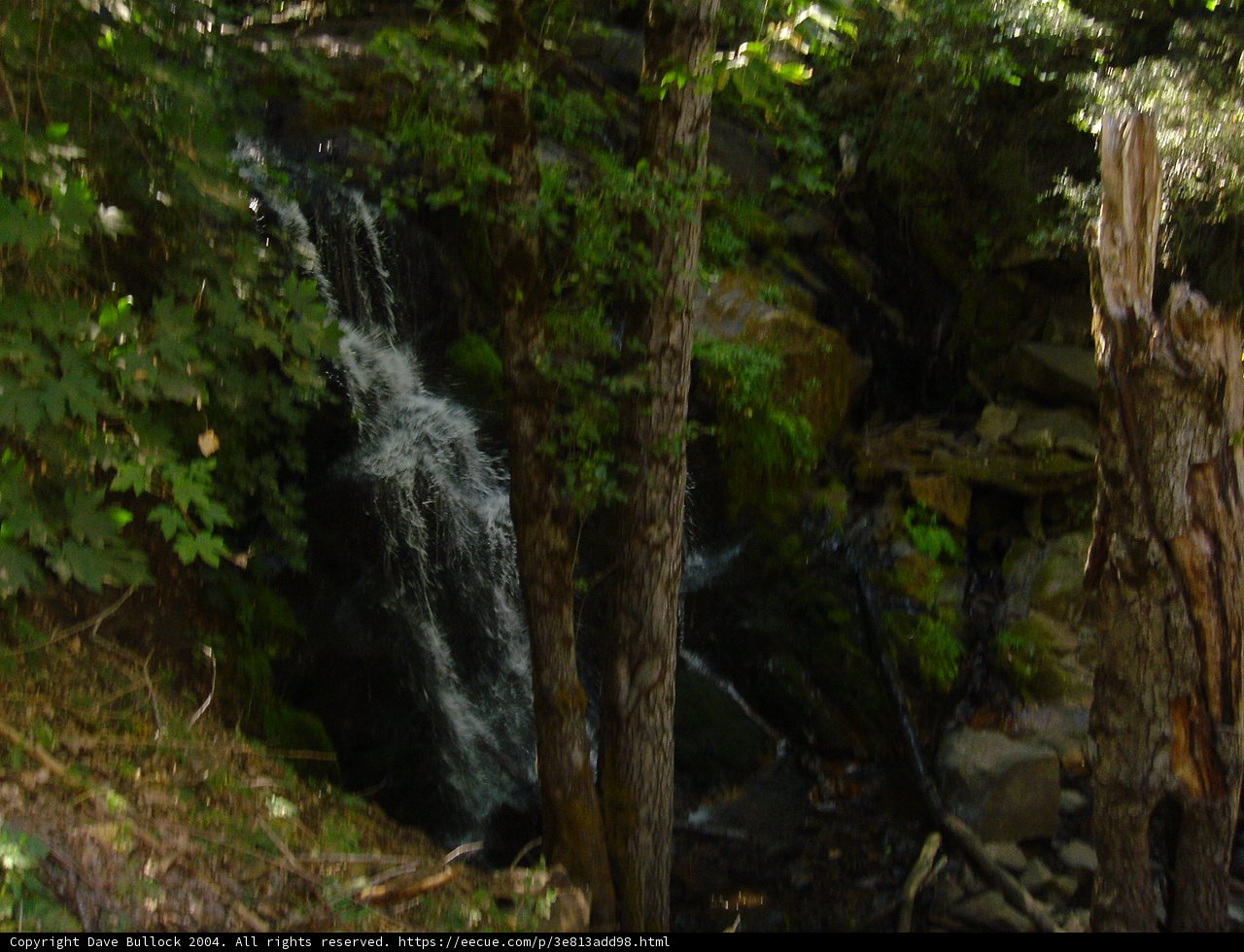 Serene Waterfall in the Woods