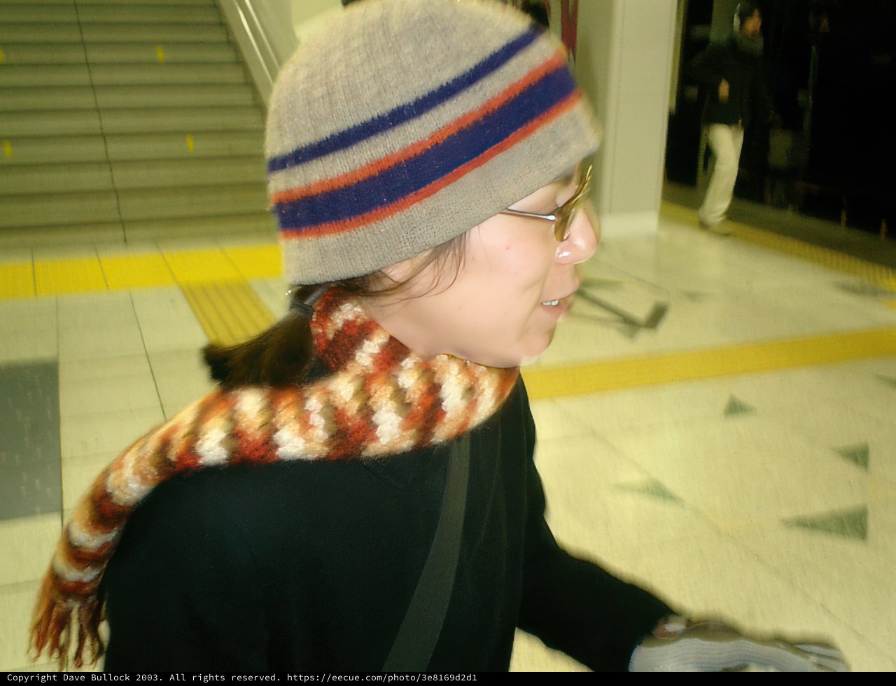 Tokyo Fashionista