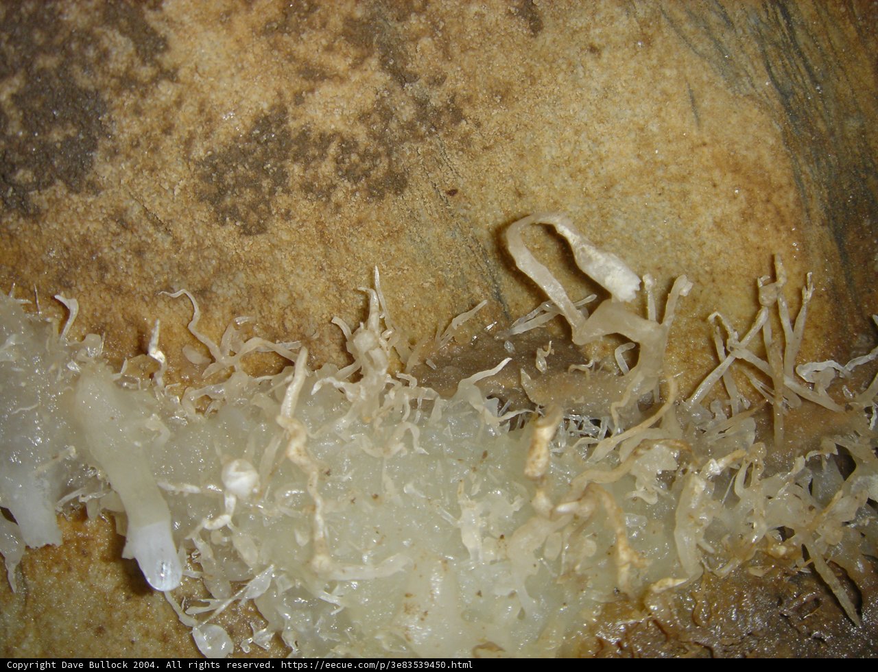 Crystal Formation in a Cave