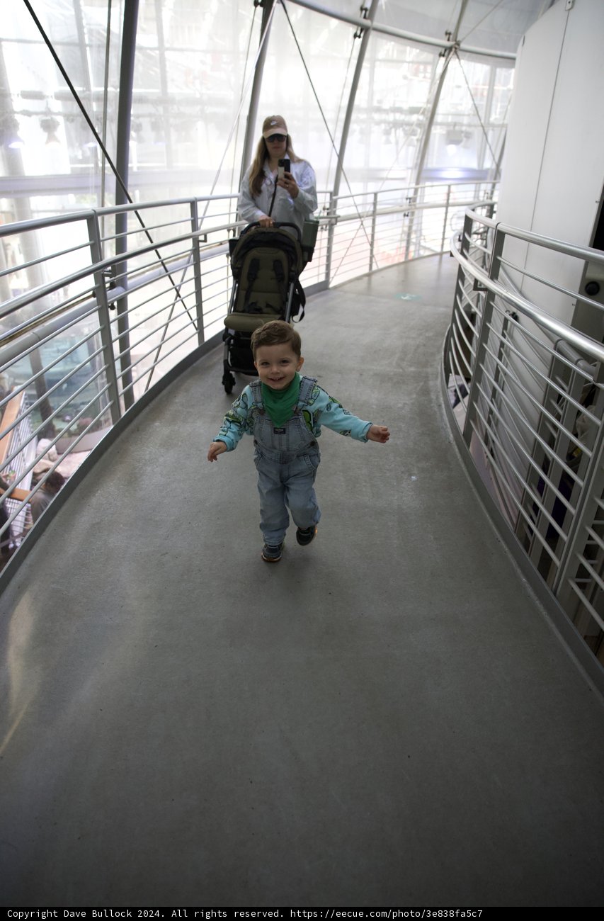 The Journey of Childhood