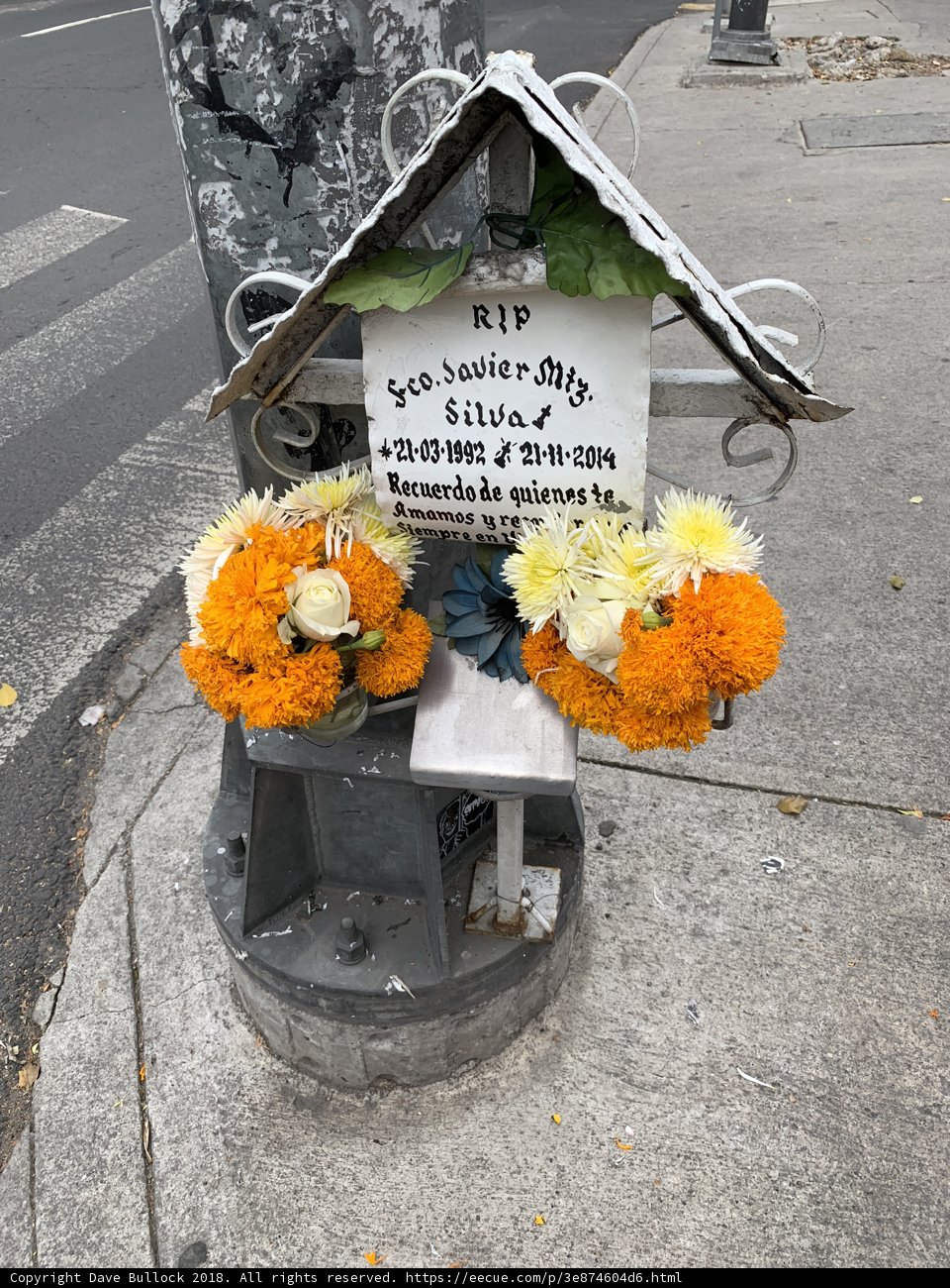 Flower House