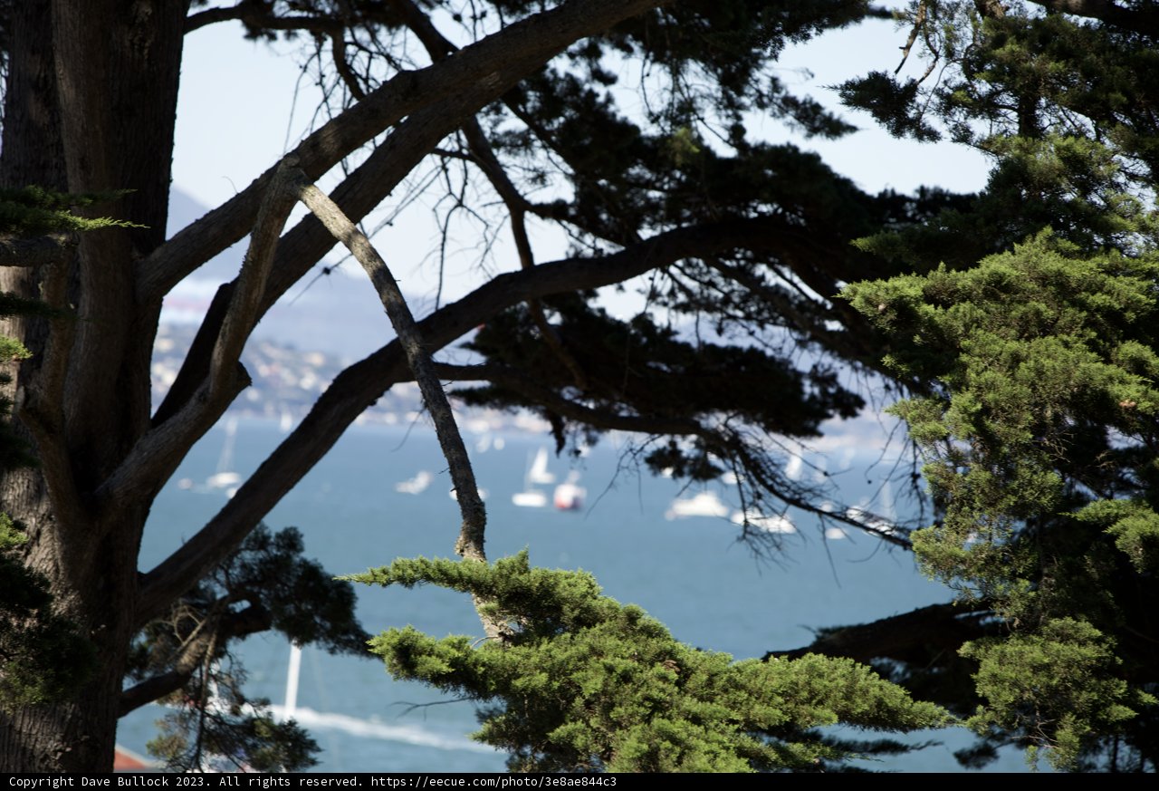 The Majestic Branch: A Memoir from Fleet Week Air Show, 2023