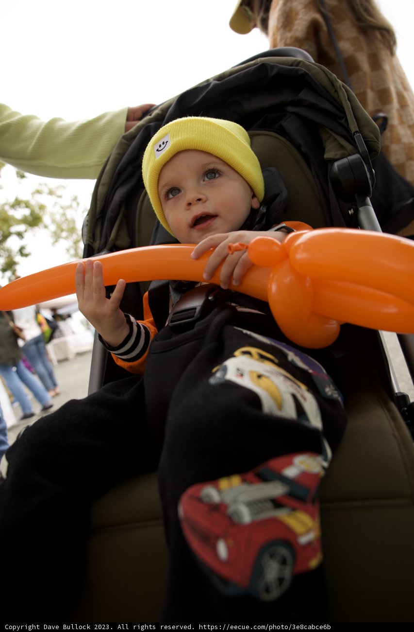 Wesley and the Stroller Adventure
