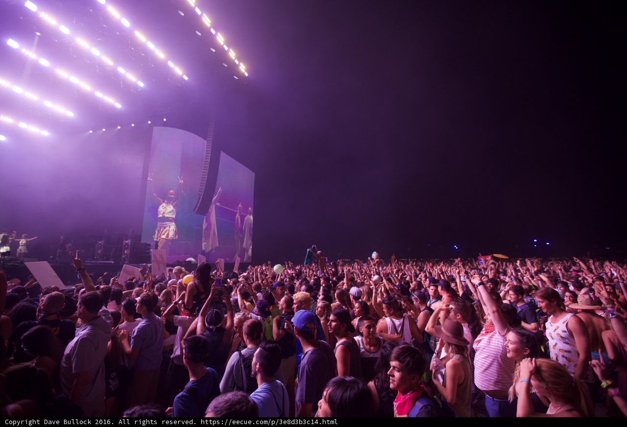 Coachella Crowd Goes Wild