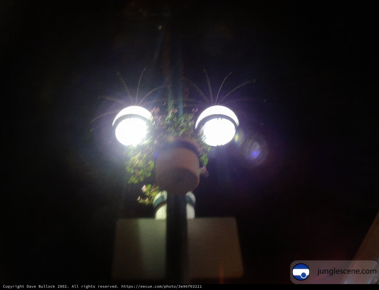 Double-Lit Lamppost Illuminating the Night Sky