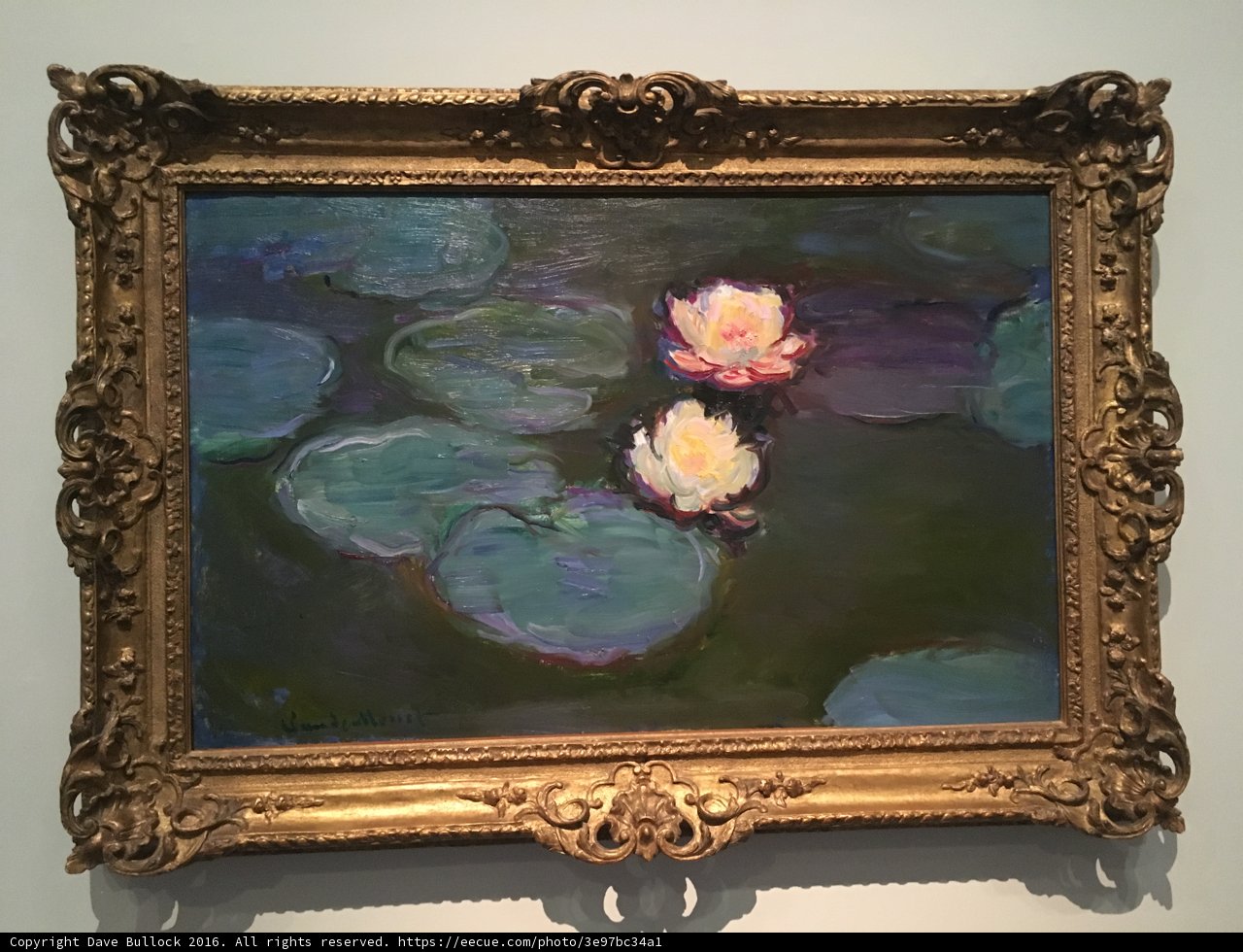 Water Lilies in Gold