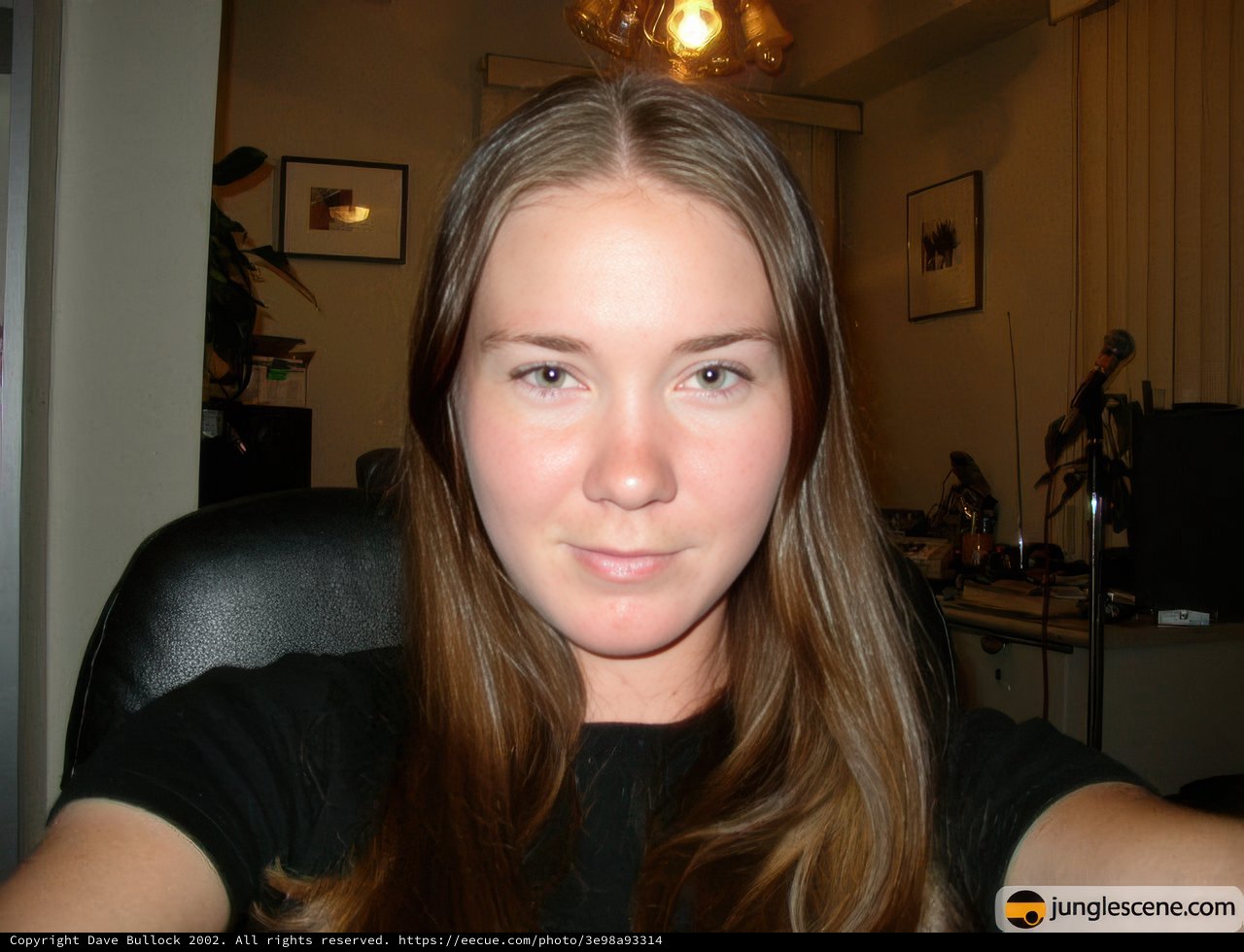 Portrait of a Woman with Long Hair