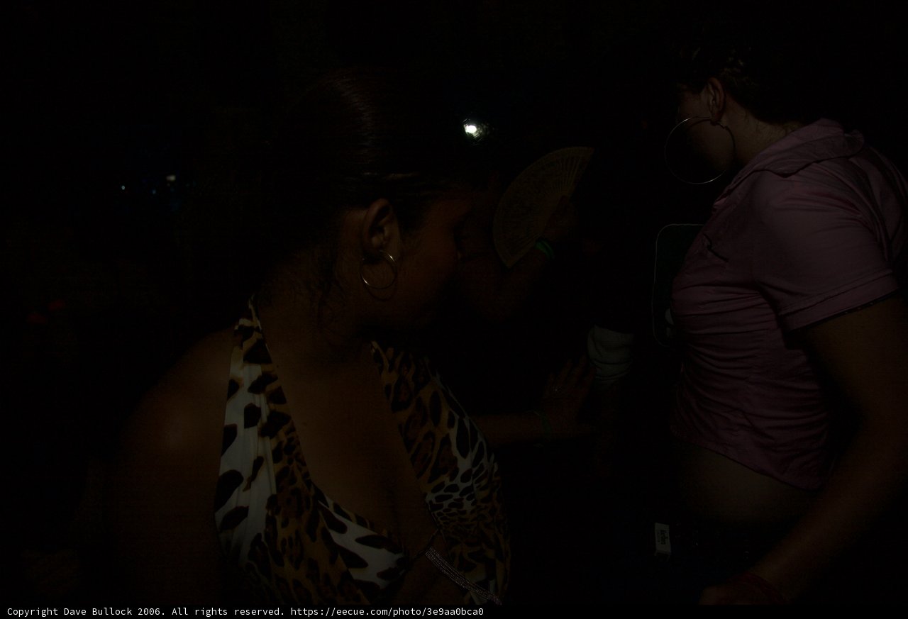 Leopard and Liquor