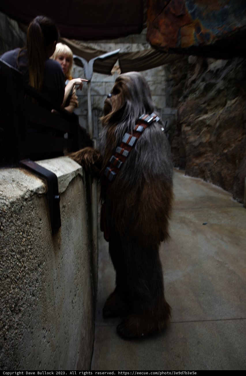 A Furry Friend Enjoying the Magic of Disneyland