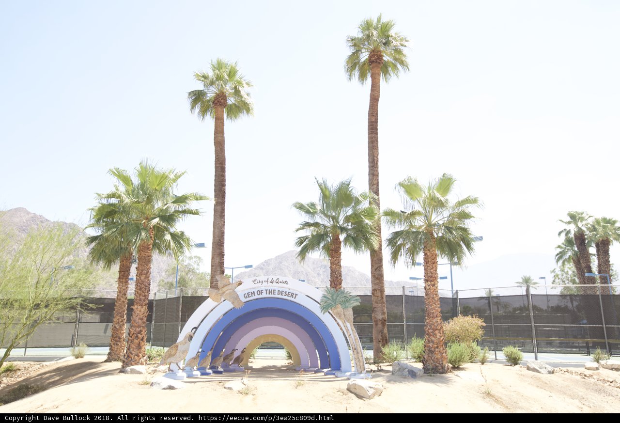 Rainbow Oasis in the Desert