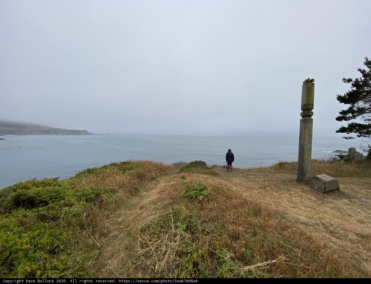 Overlooking the Serene Ocean