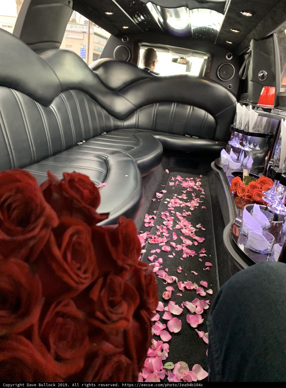 A Rosey Ride