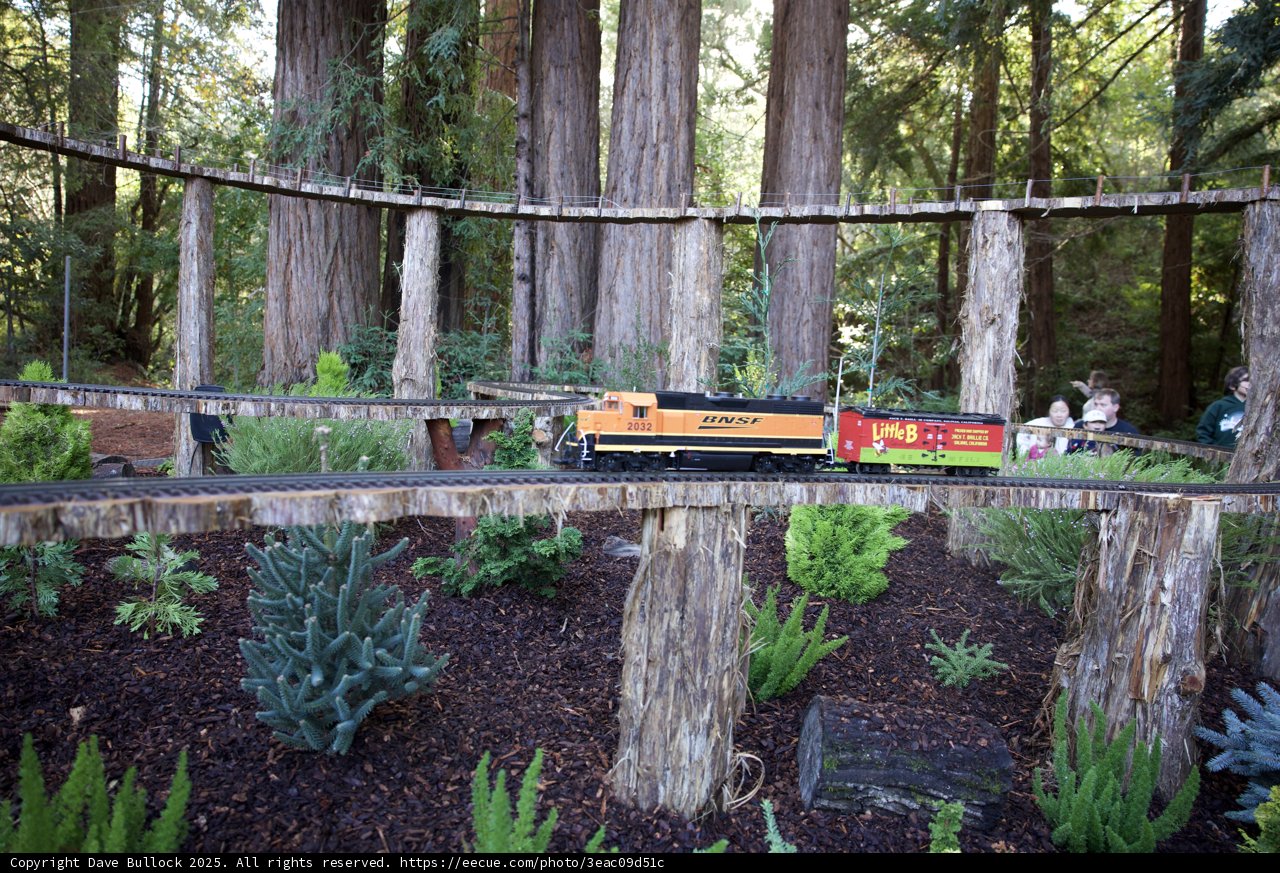 Nature's Railroad Adventure