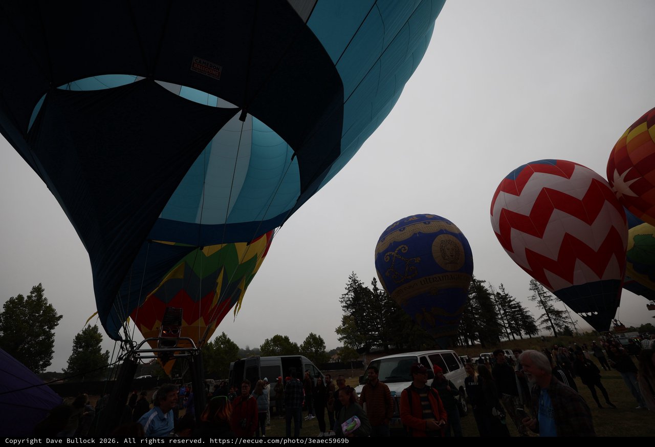 Hot Air Balloons Rising at Sonoma County Classic