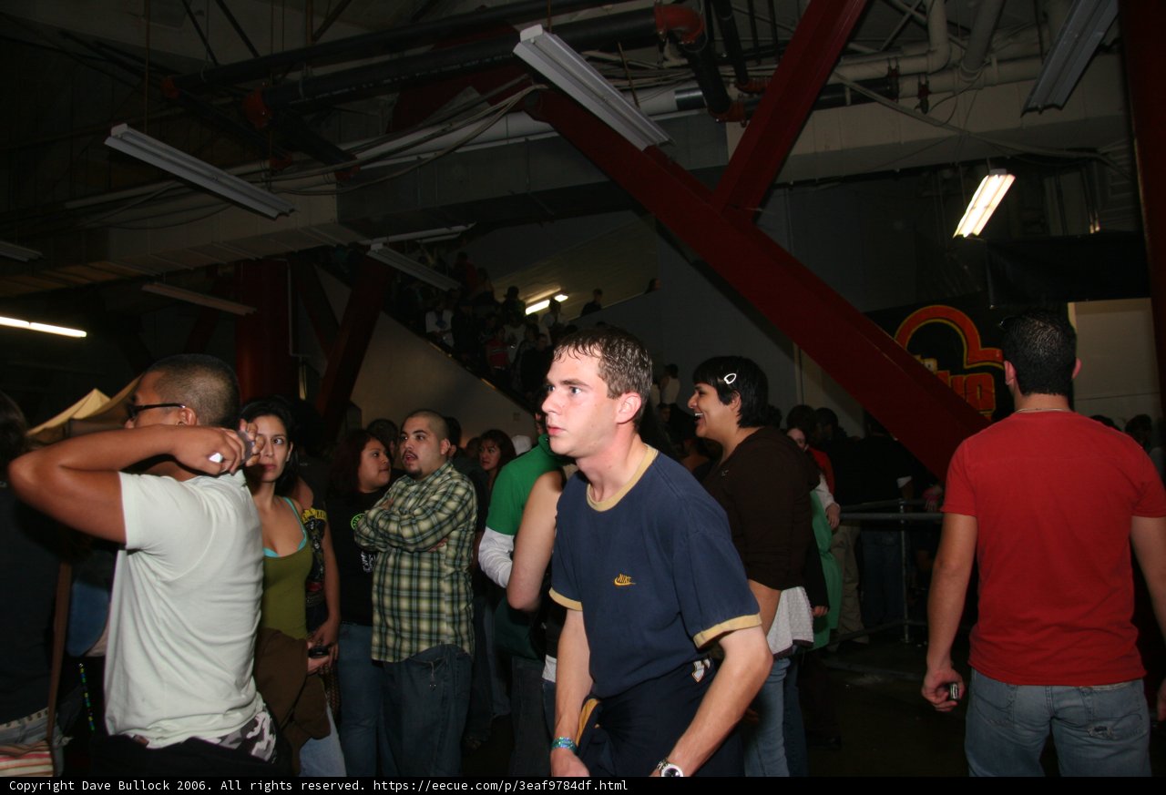 Standing out in the Crowd