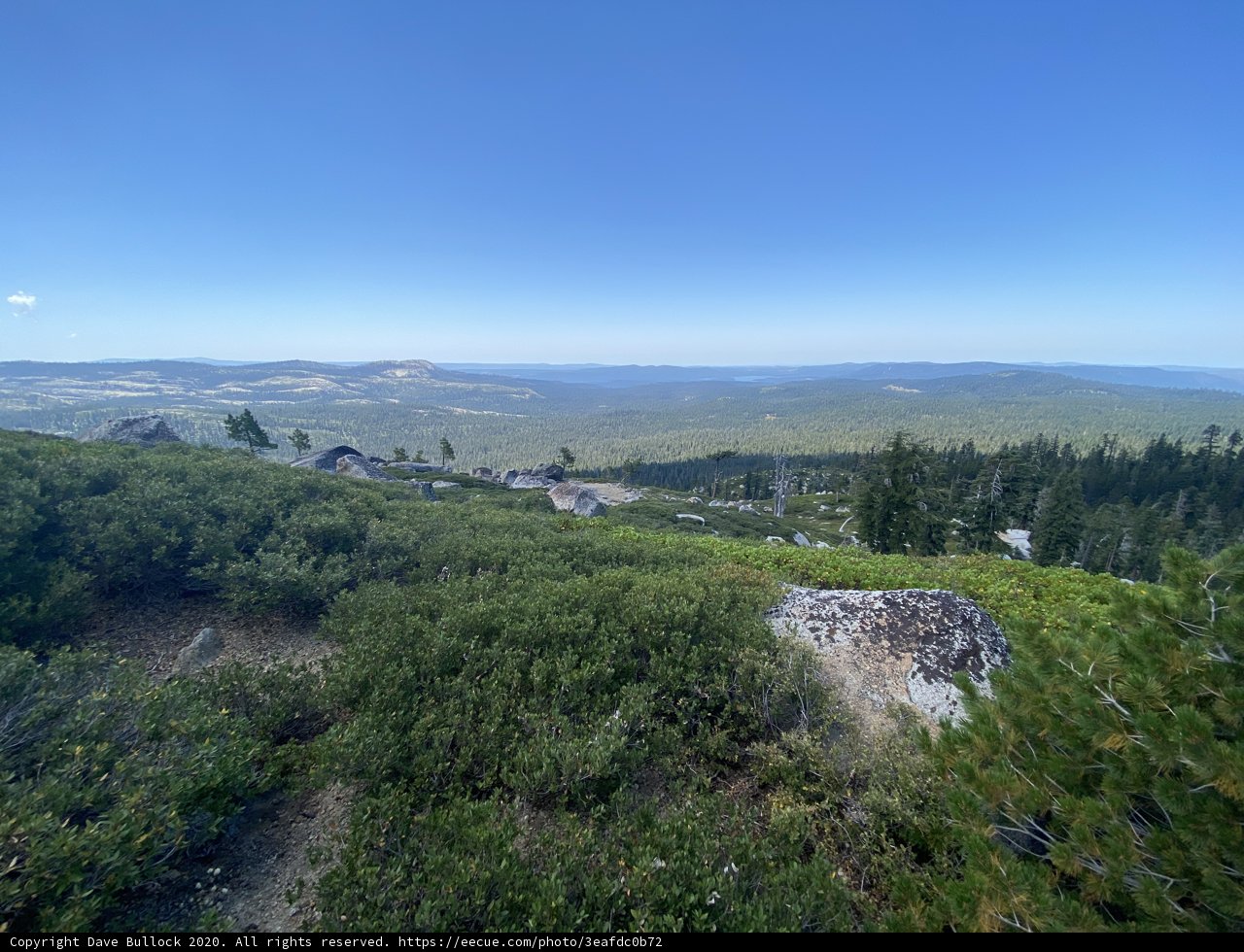 Majestic Mountains and Verdant Forests