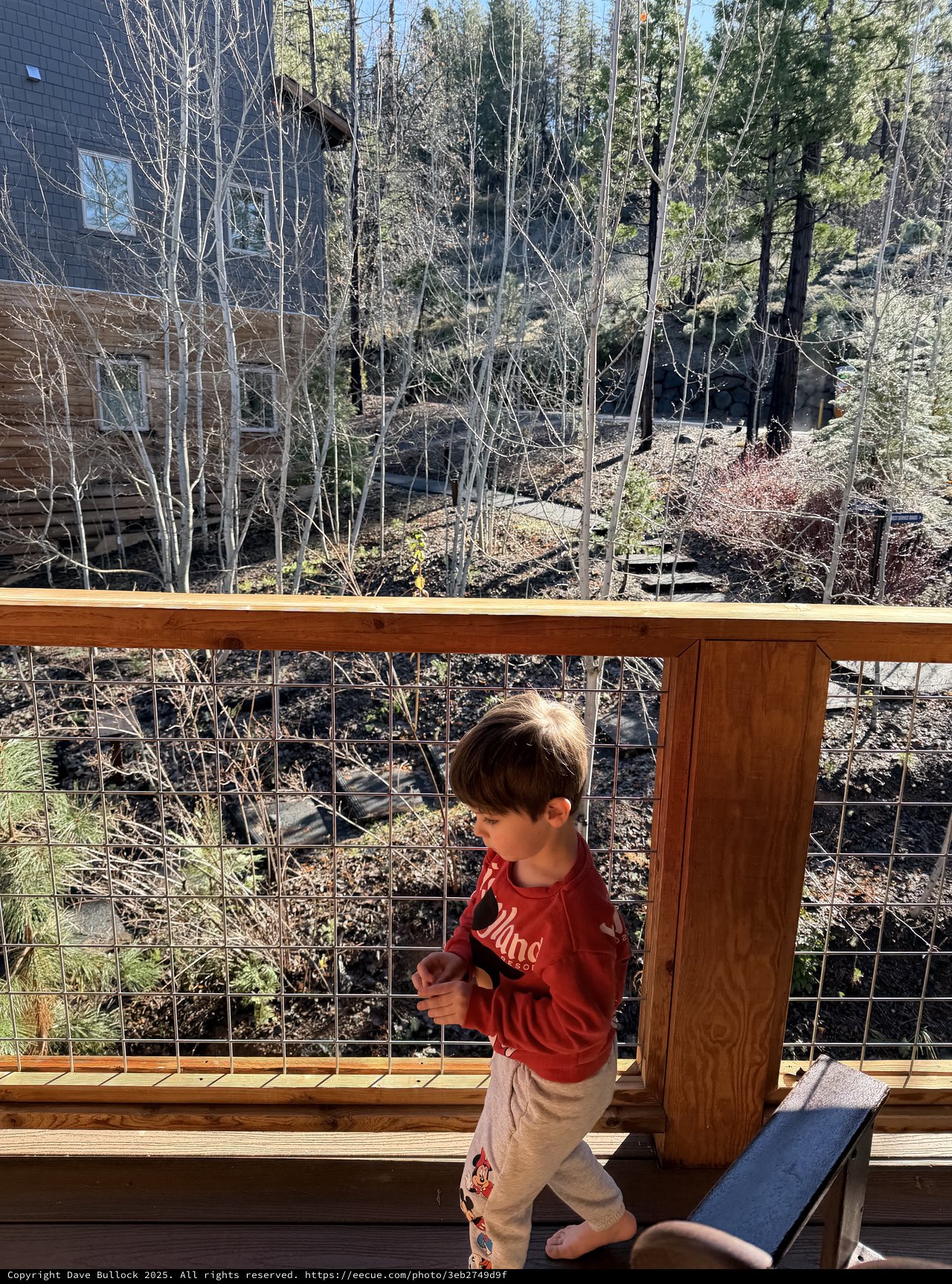 Young Boy Explores Mountain Deck in Winter
