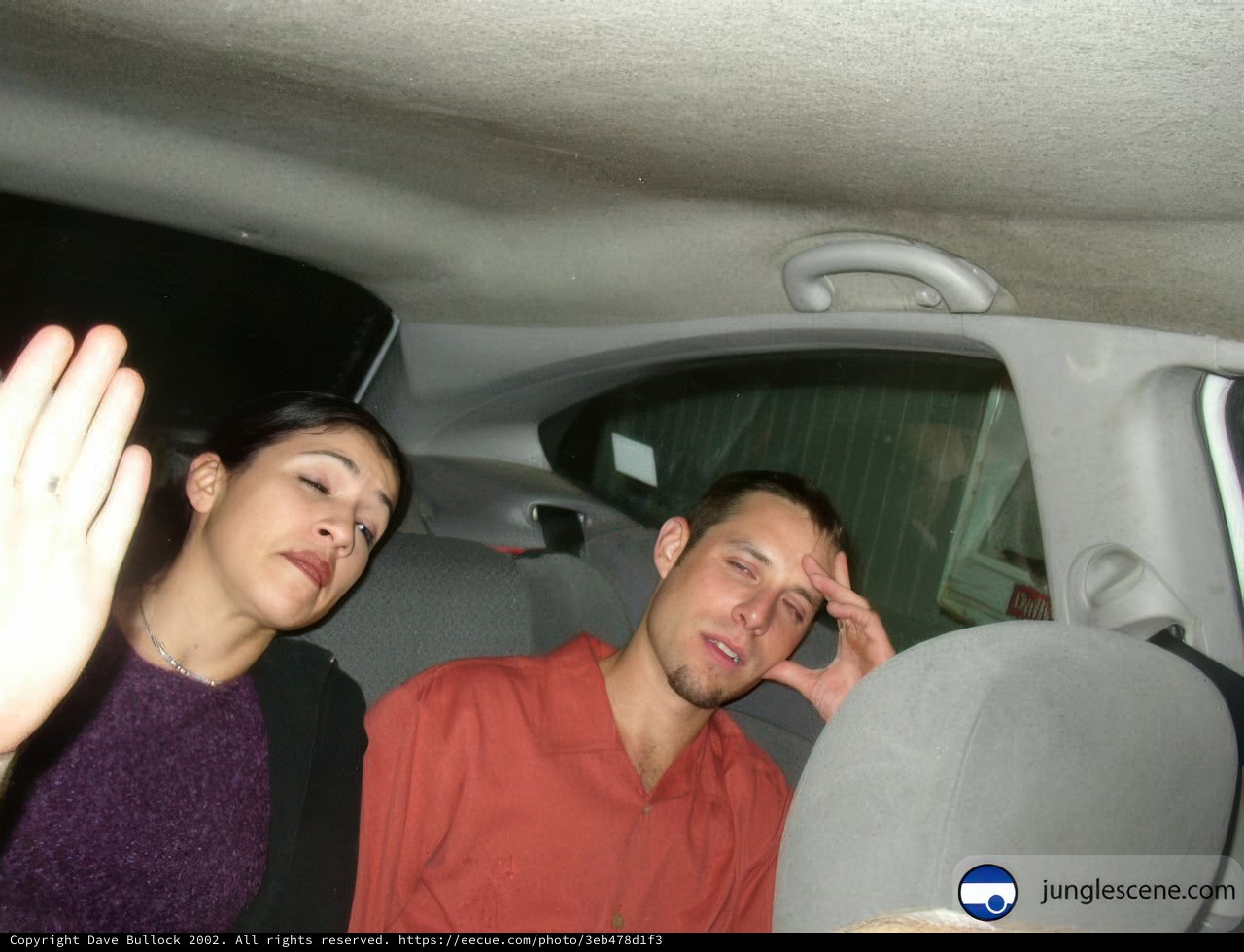 Backseat Lovebirds