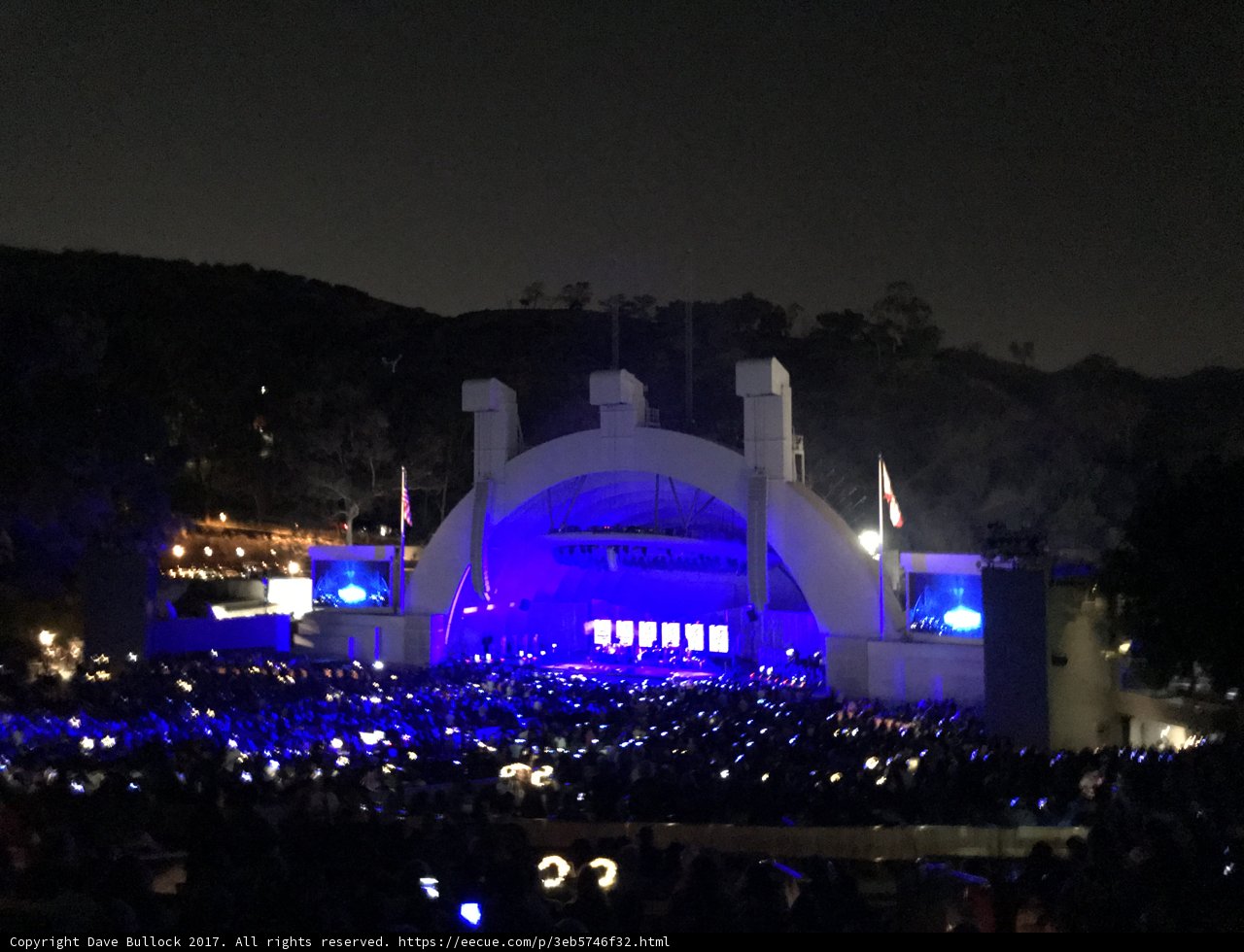 A Night Filled with Music and Lights