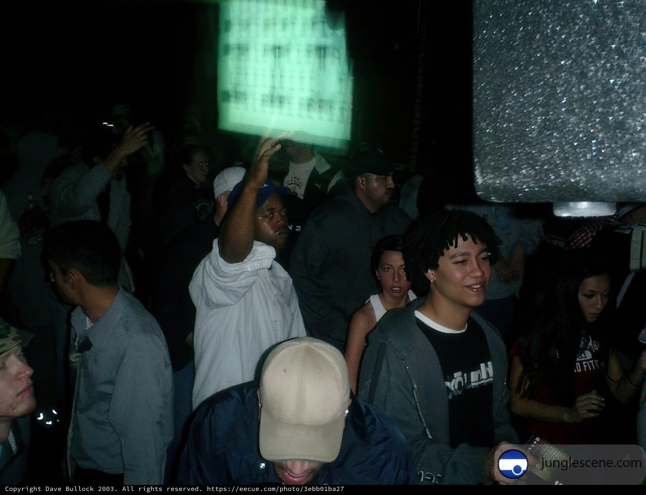 Nightclub Gathering