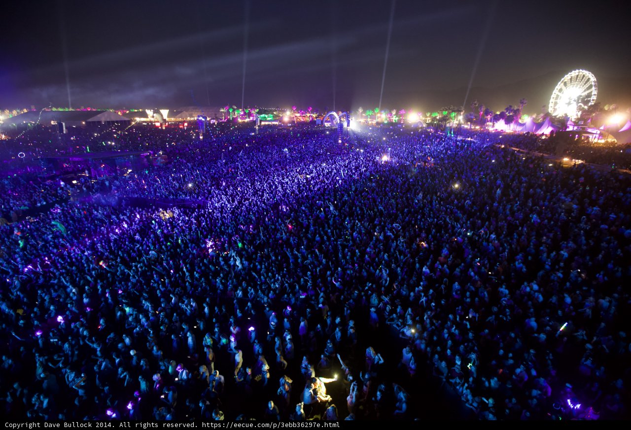 Festival Fever