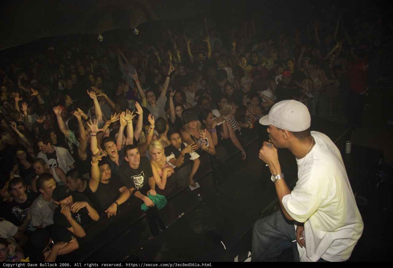 Urban Concert Crowd