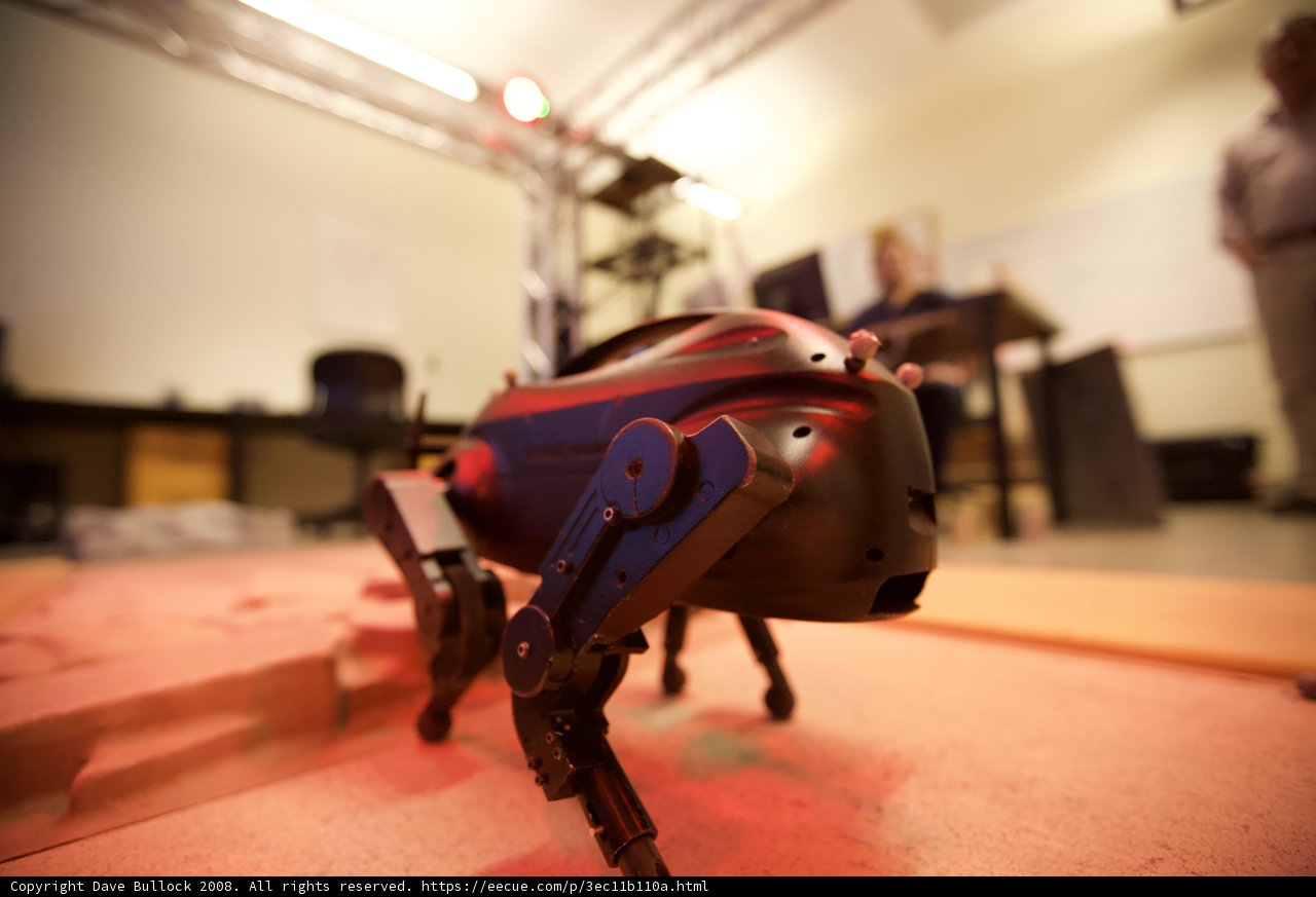 Robotic Companion at Home