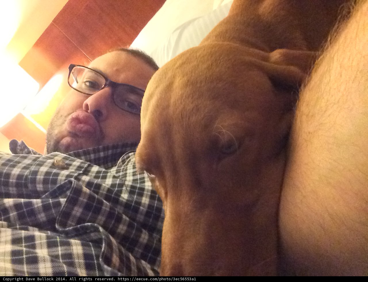 A Cozy Nap with Man's Best Friend
