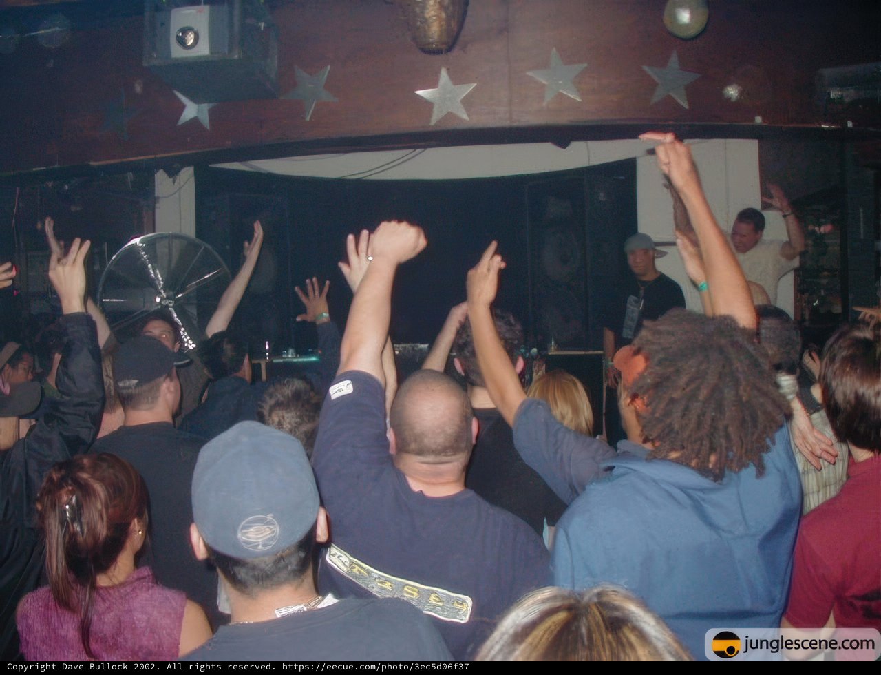 Nightclub Crowd Get into the Groove