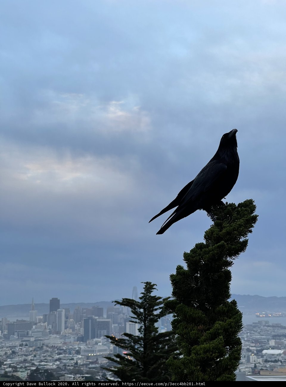 Cityscape Sentinel