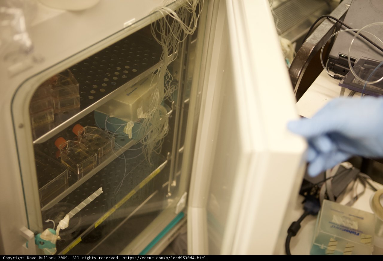 Advancements in Micro Bio Chip Technology