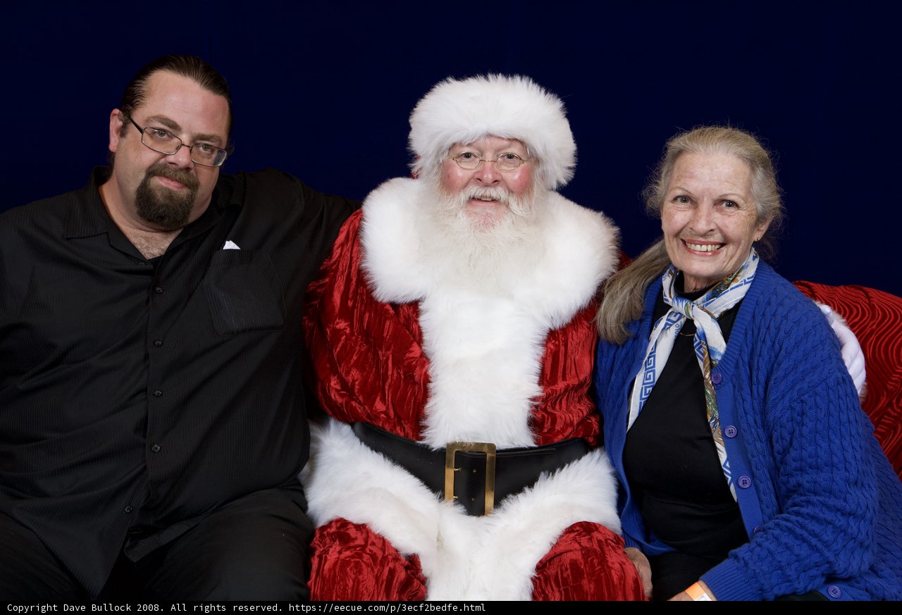 Santa's Party Guests