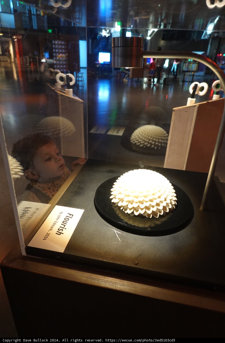 Wonder in the Glass Display