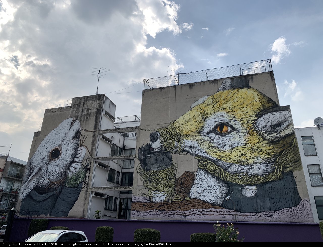 The Mural of the Rabbit and the Cat