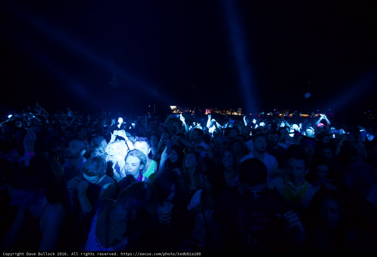 Light Up the Night: A Captivating Concert Crowd